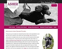 Asher Standard Poodles
