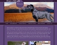 Halloran Labradors, U.K.